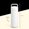 Fellow 20 oz Carter Carry Water Bottle – Leak-Proof Lid, Vacuum Insulated Stainless Steel Tumbler, Keeps Heat for 12 Hours/Stays Cold for 24 Hours, Stainless Steel Handle, Dishwasher Safe,Smoke Green(Matte White)